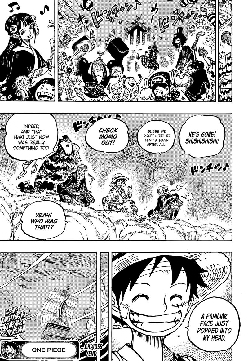 One Piece Chapter 1055 — page 18