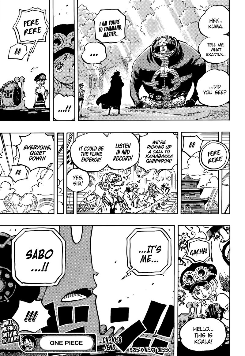 One Piece Chapter 1058 — page 16