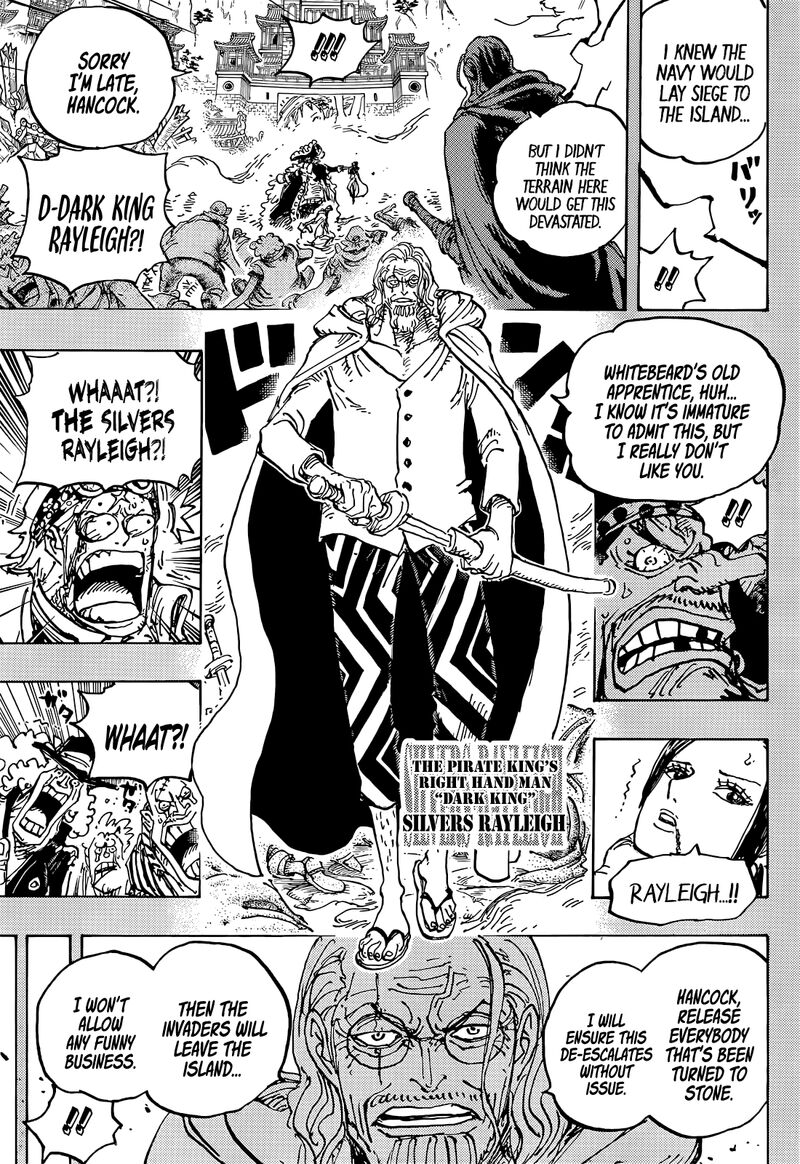 One Piece Chapter 1059 — page 14
