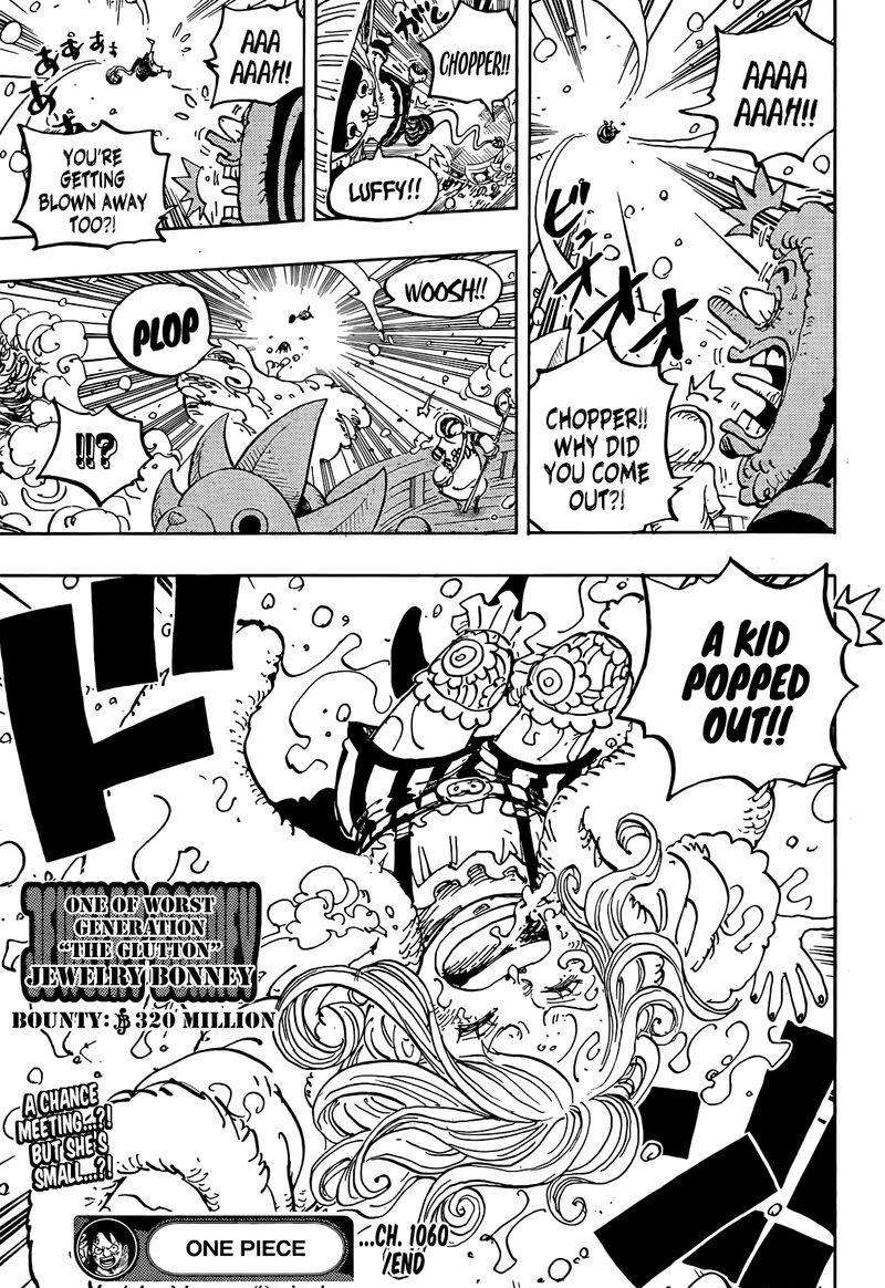 One Piece Chapter 1060 — page 17