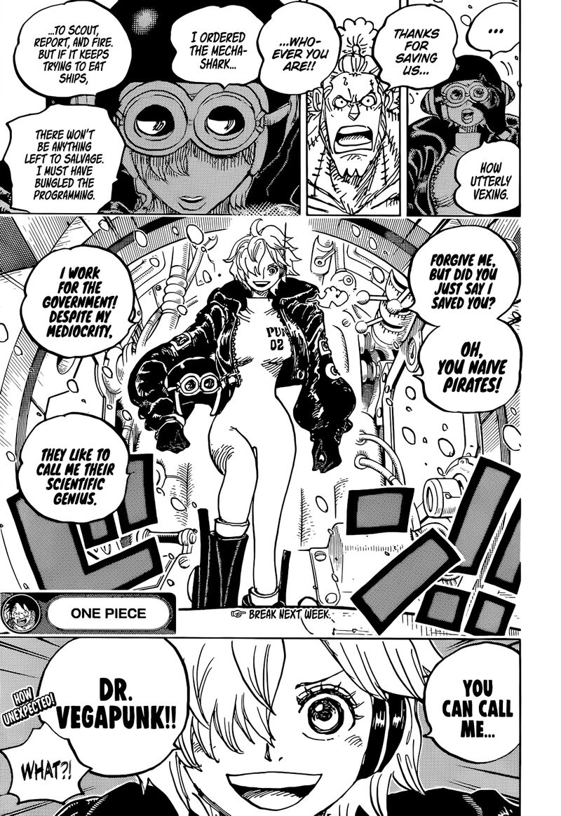 One Piece Chapter 1061 — page 13