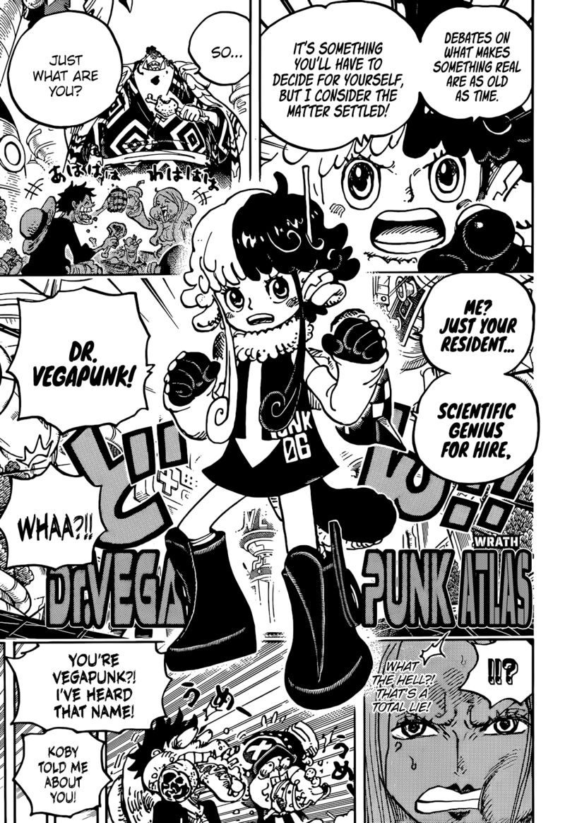 One Piece Chapter 1062 — page 13