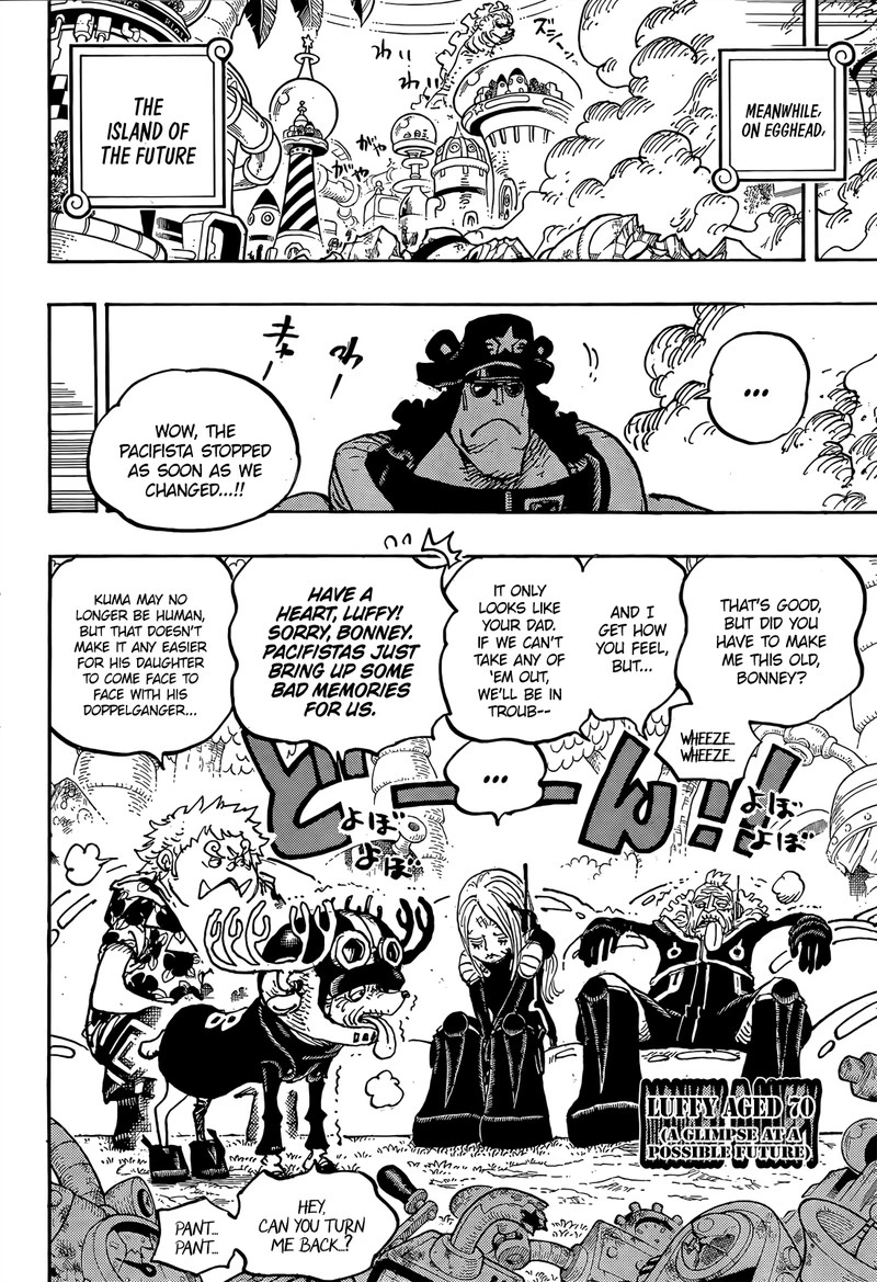 One Piece Chapter 1064 — page 9