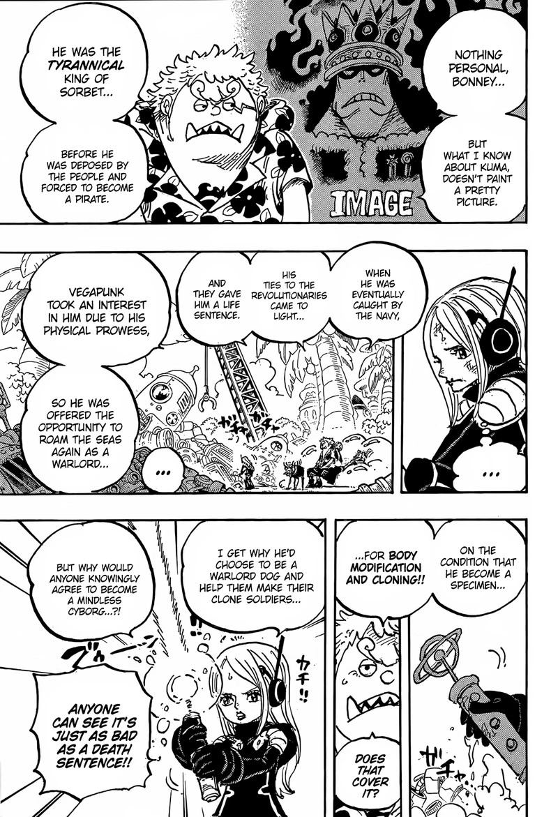 One Piece Chapter 1064 — page 10