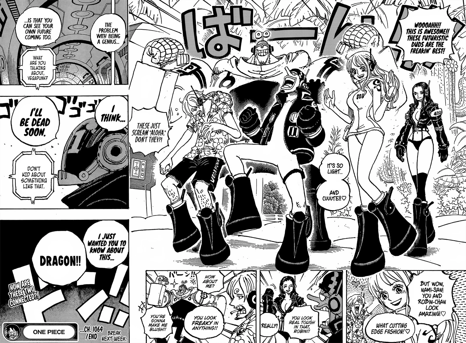 One Piece Chapter 1064 — page 14