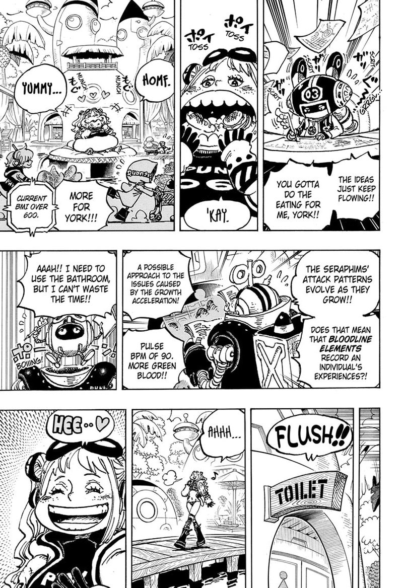 One Piece Chapter 1065 — page 14