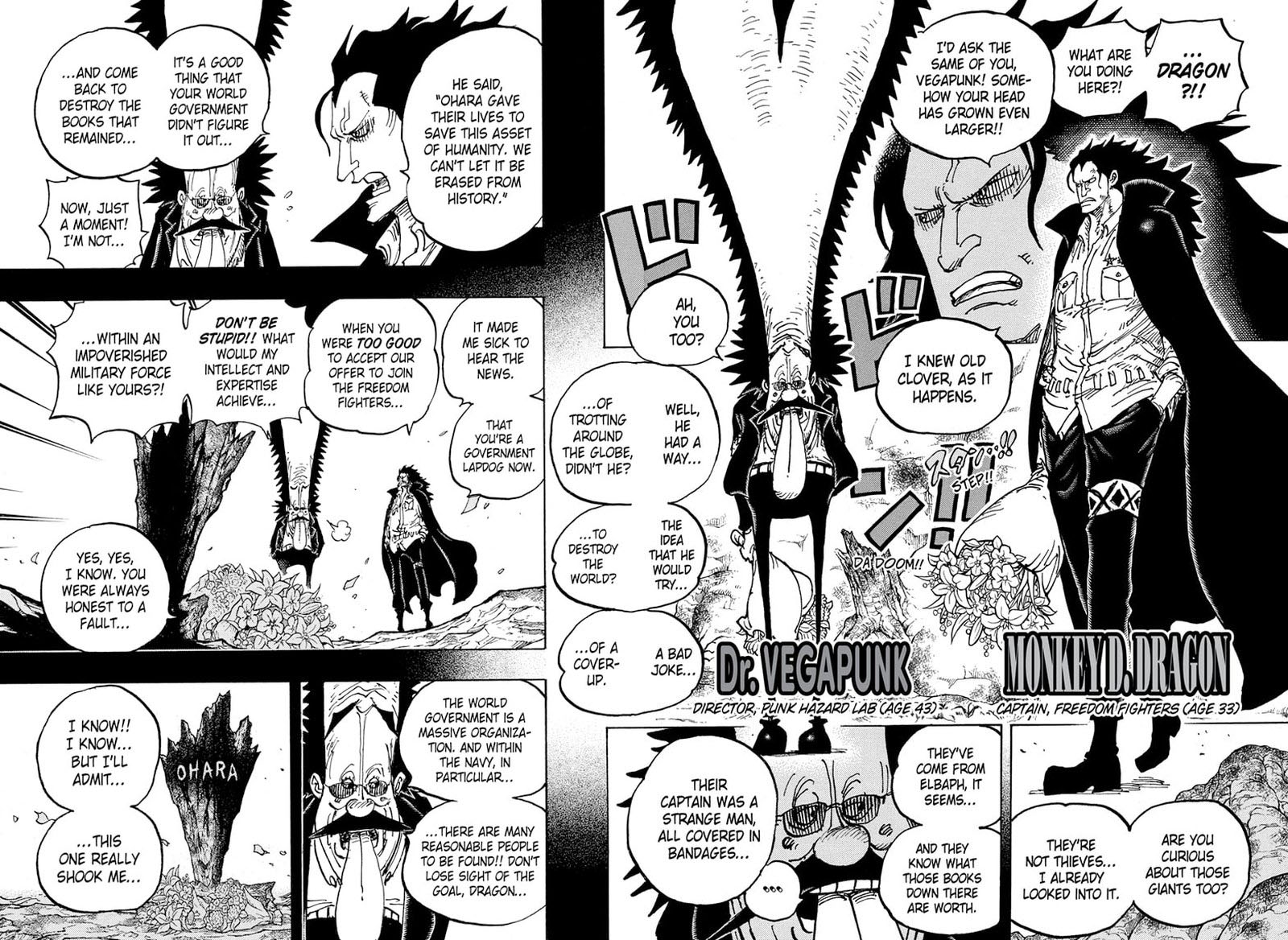 One Piece Chapter 1066 — page 10