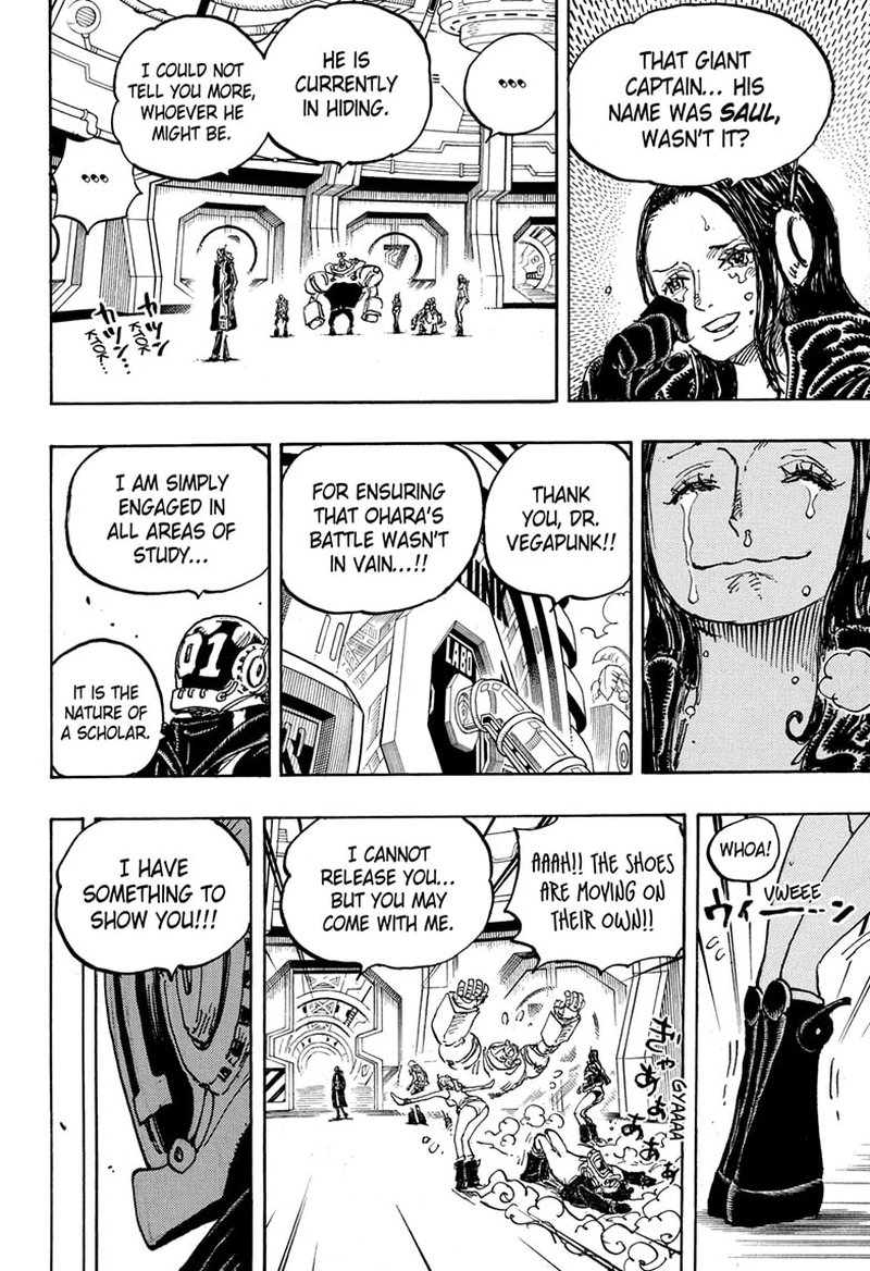 One Piece Chapter 1066 — page 13