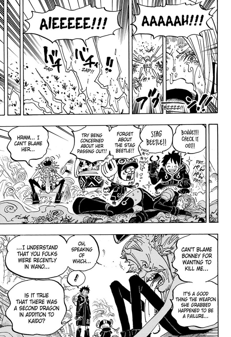 One Piece Chapter 1067 — page 7