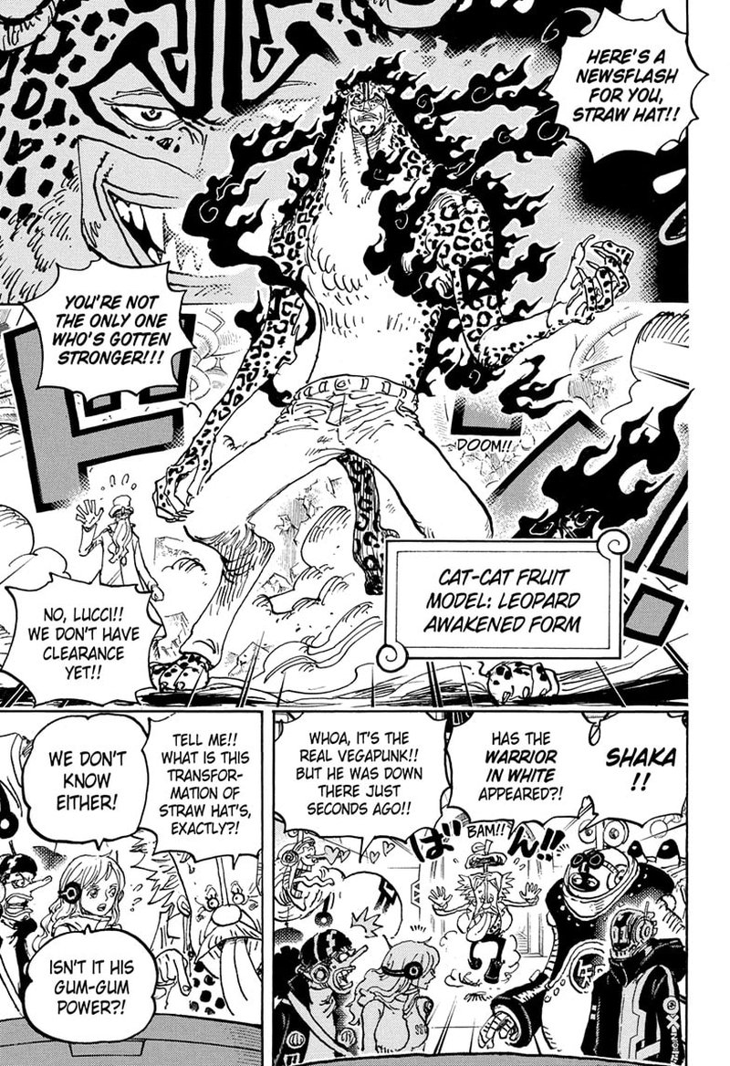 One Piece Chapter 1069 — page 7