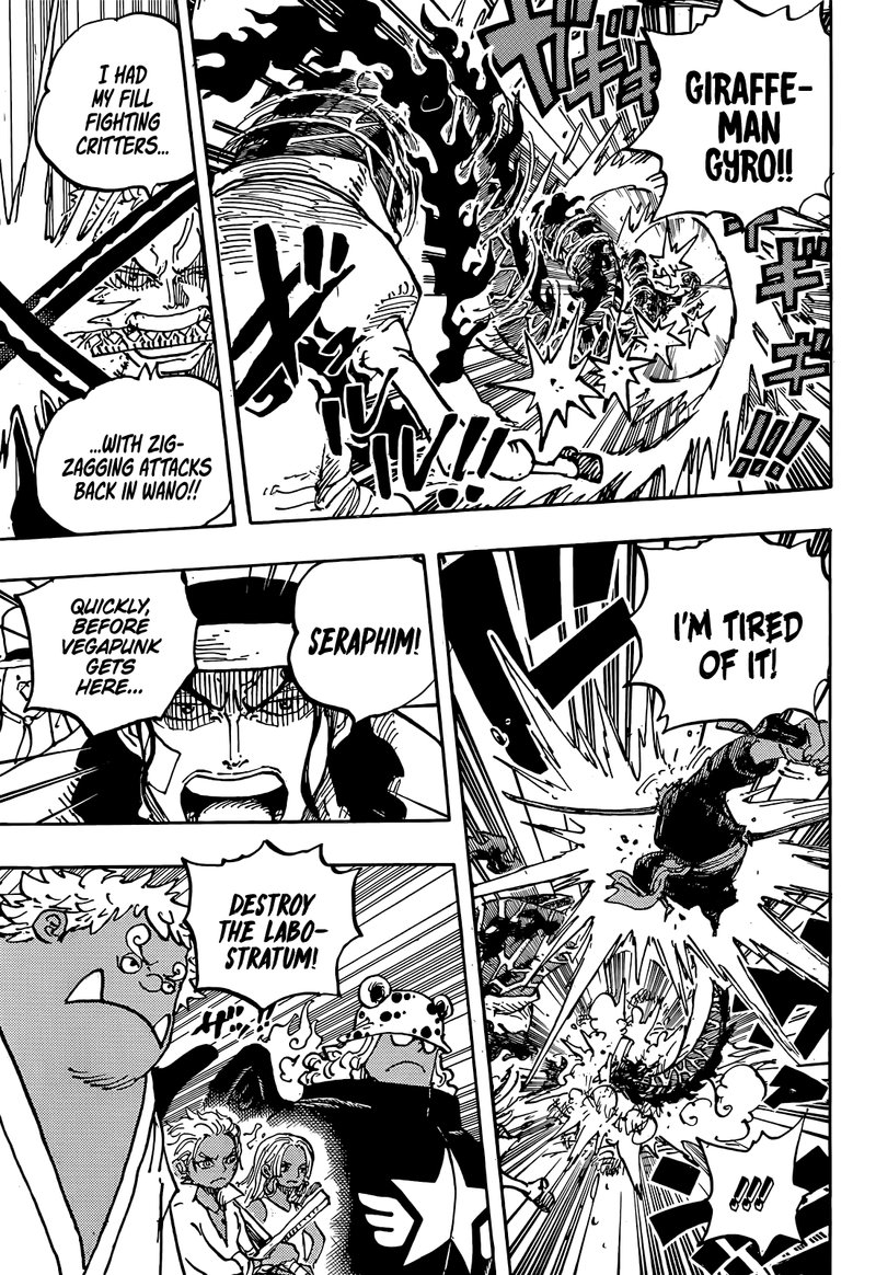 One Piece Chapter 1072 — page 14