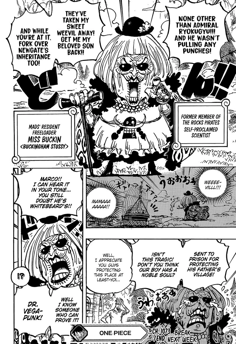 One Piece Chapter 1073 — page 14