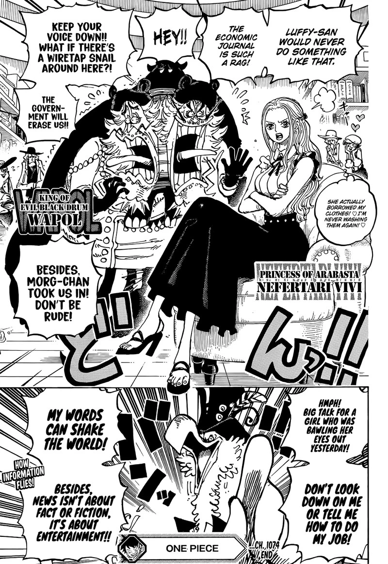 One Piece Chapter 1074 — page 16