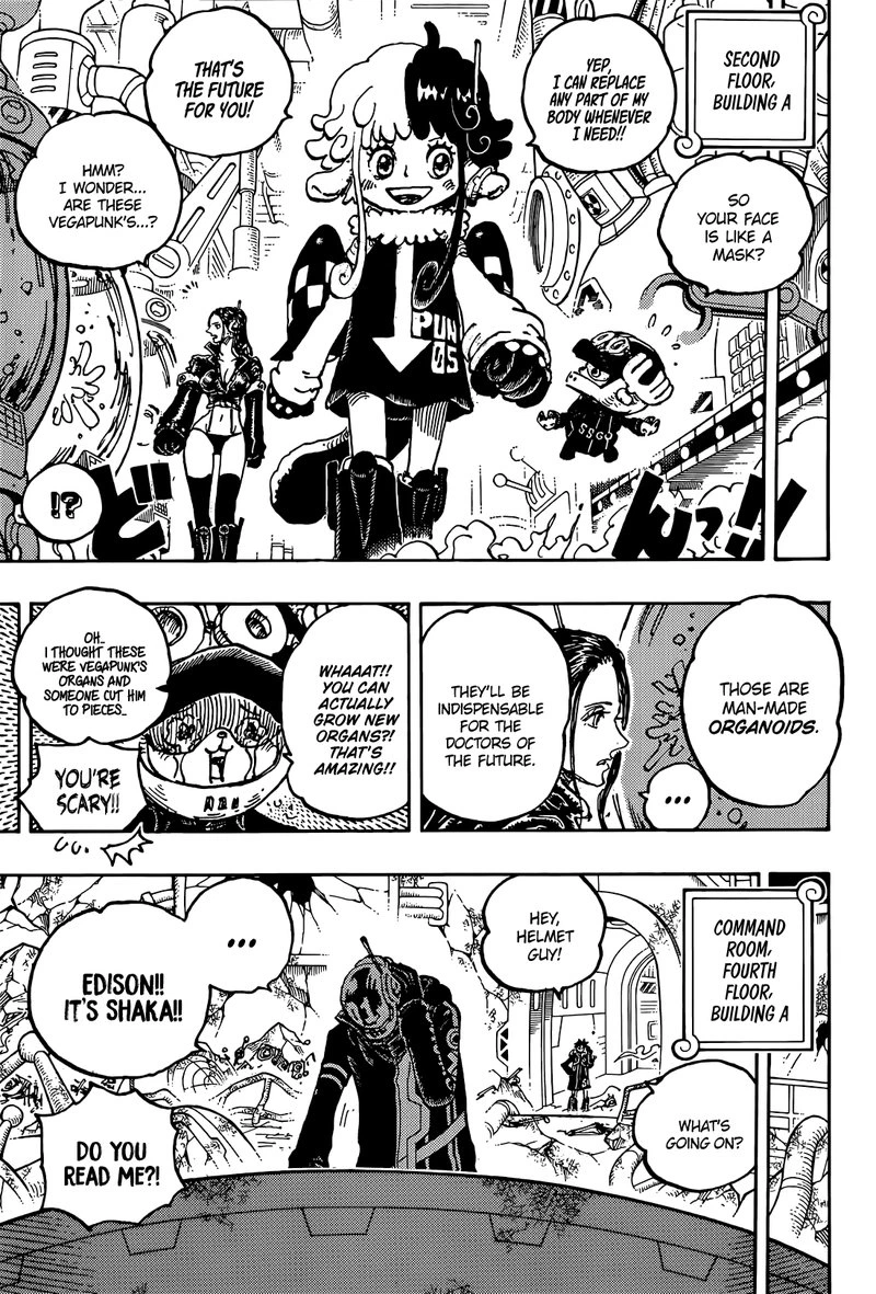 One Piece Chapter 1075 — page 5