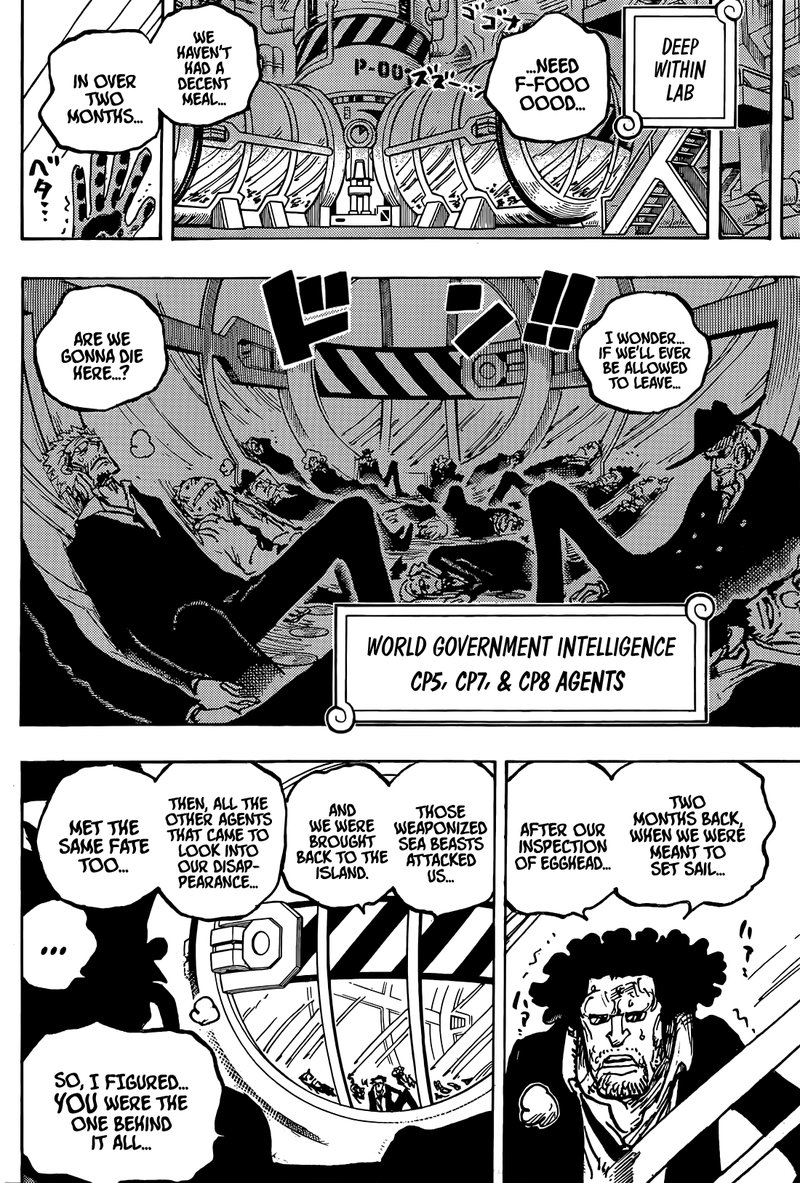 One Piece Chapter 1076 — page 9