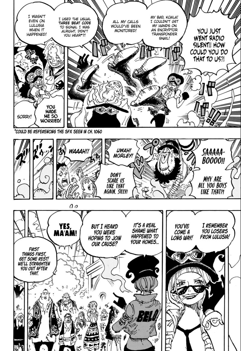 One Piece Chapter 1082 — page 13