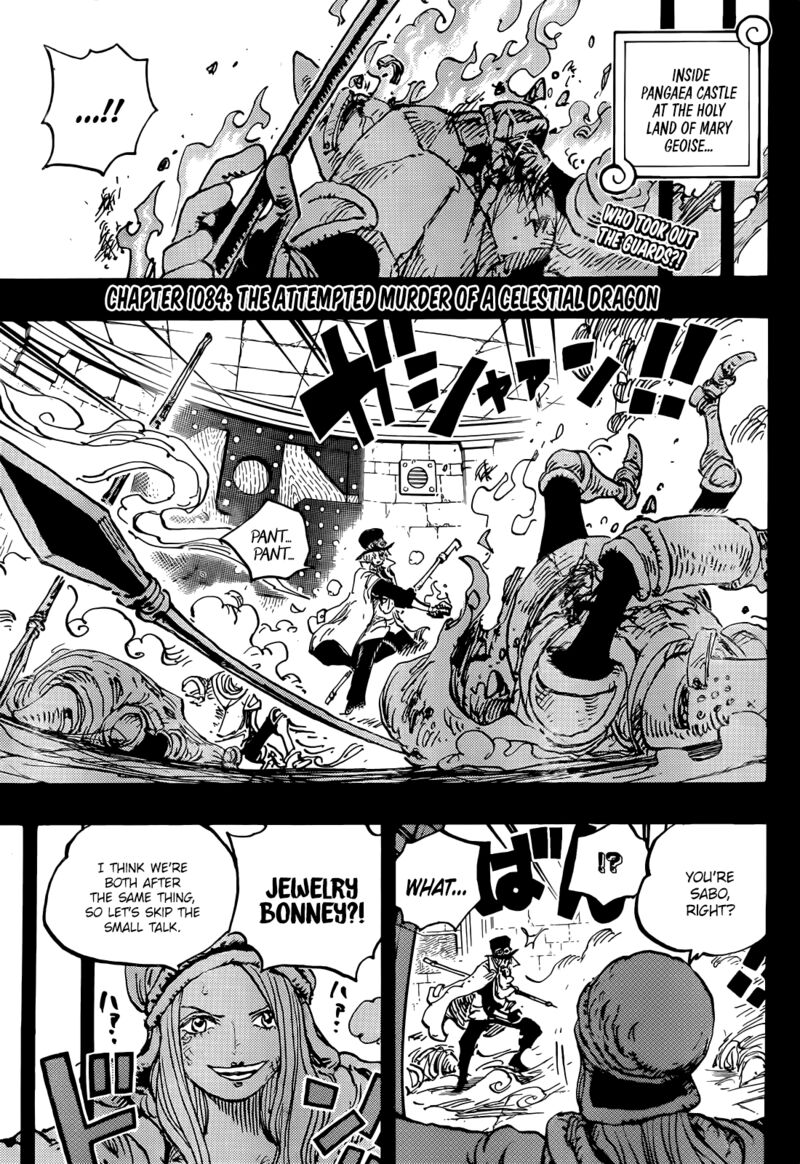 One Piece Chapter 1084 — page 3