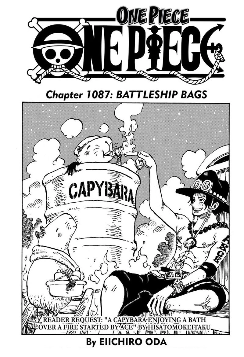 One Piece Chapter 1087 — page 1