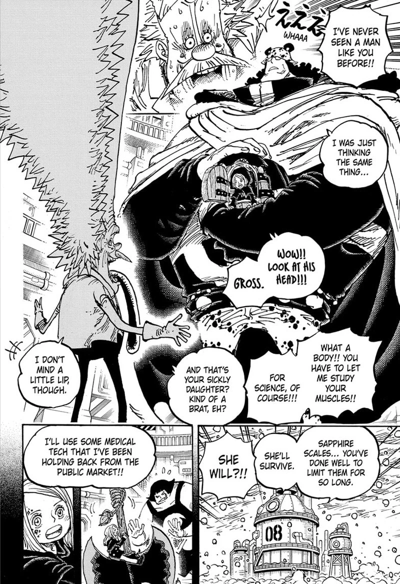 One Piece Chapter 1099 — page 13