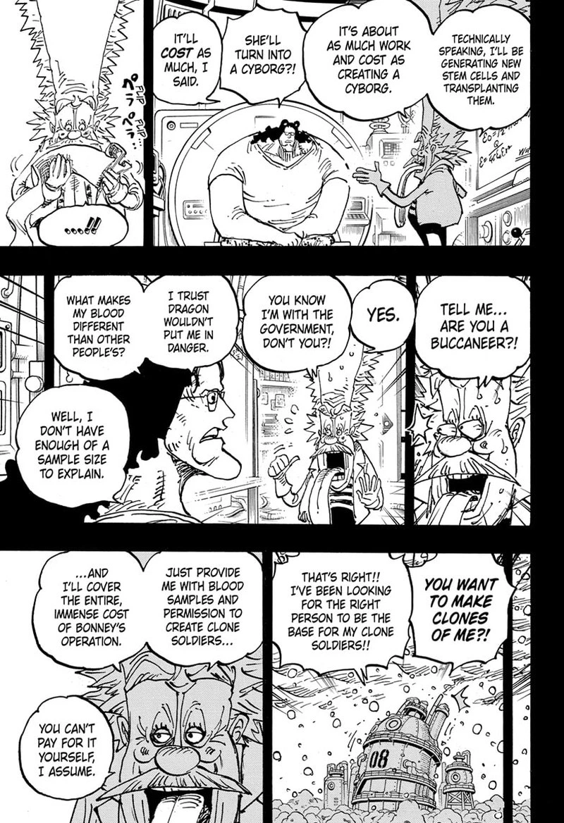 One Piece Chapter 1099 — page 14