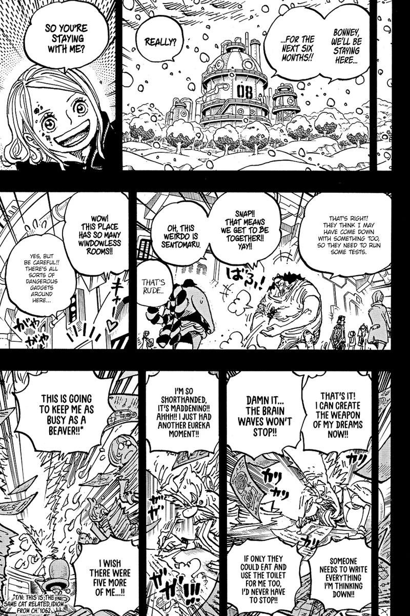 One Piece Chapter 1100 — page 9