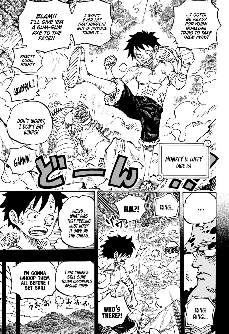 One Piece Chapter 1101 — page 5