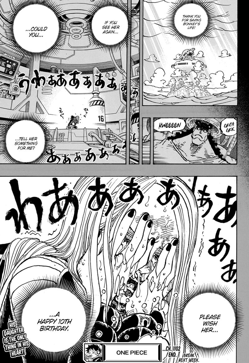 One Piece Chapter 1102 — page 18