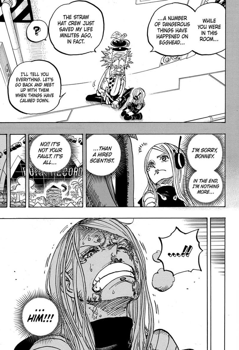 One Piece Chapter 1103 — page 5