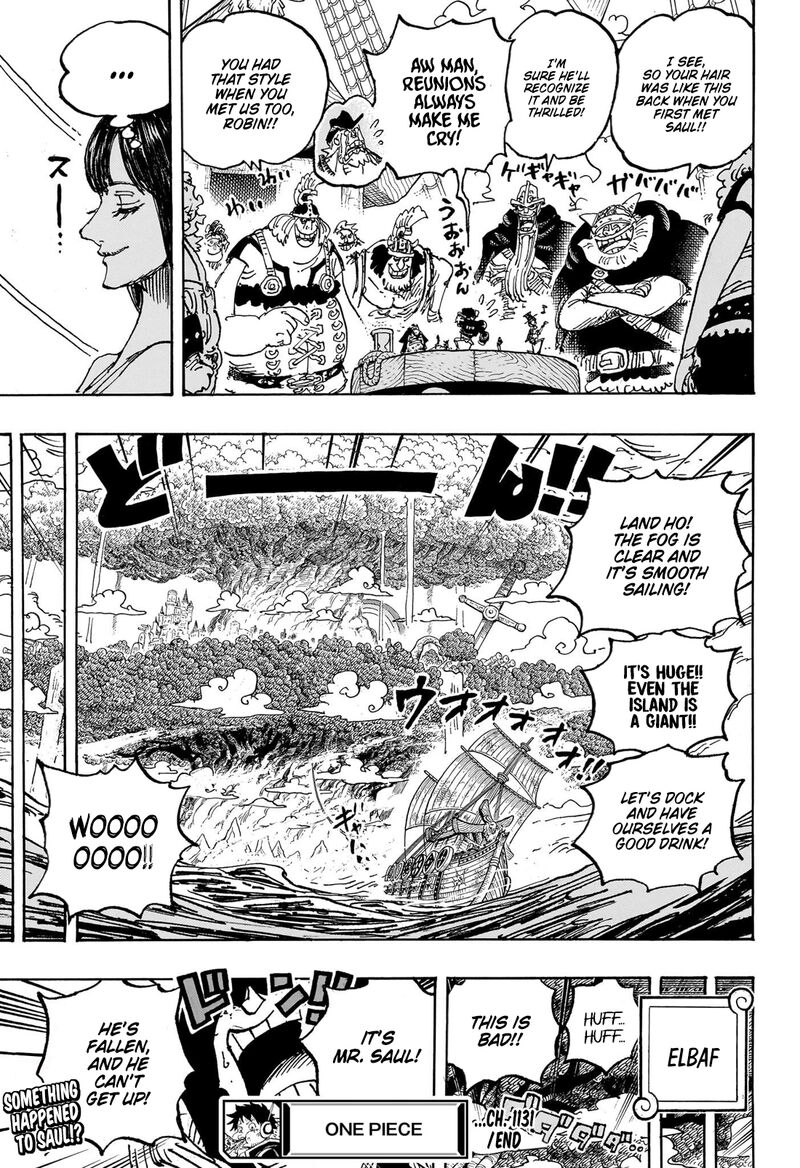 One Piece Chapter 1131 — page 15