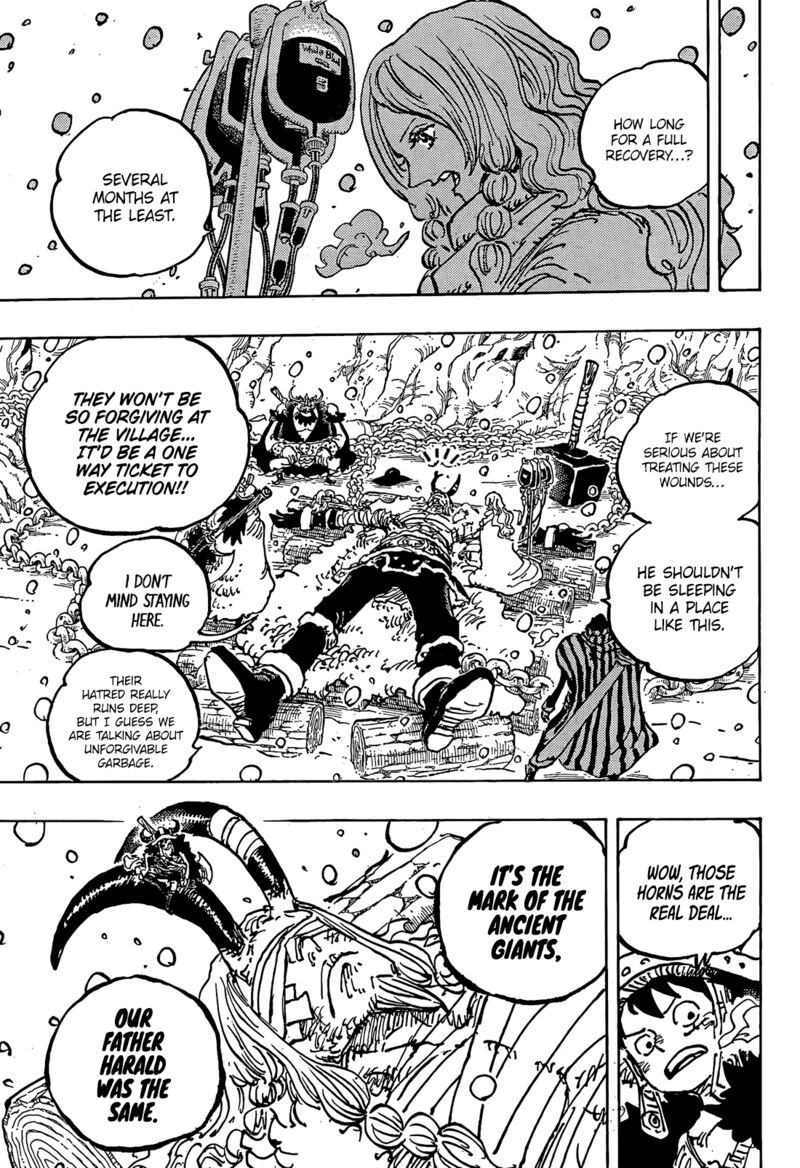 One Piece Chapter 1143 — page 16