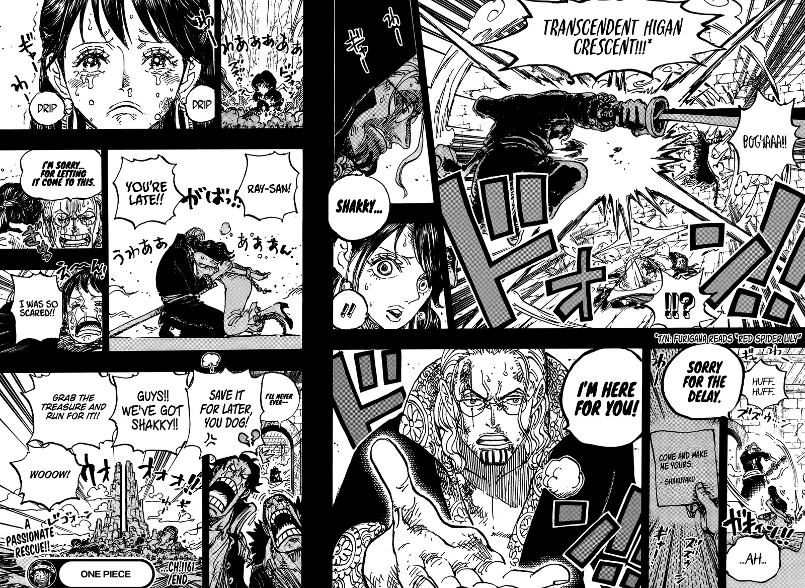 One Piece Chapter 1161 — page 15