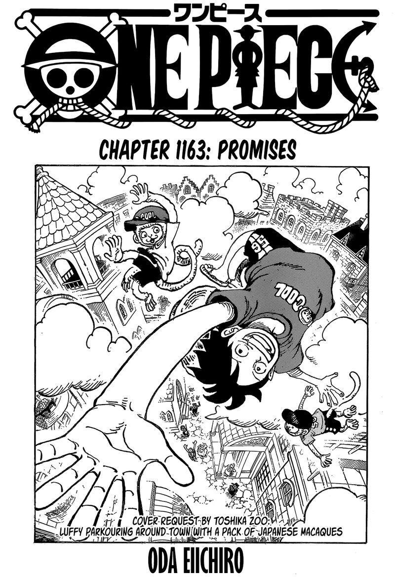 One Piece Chapter 1163 — page 1