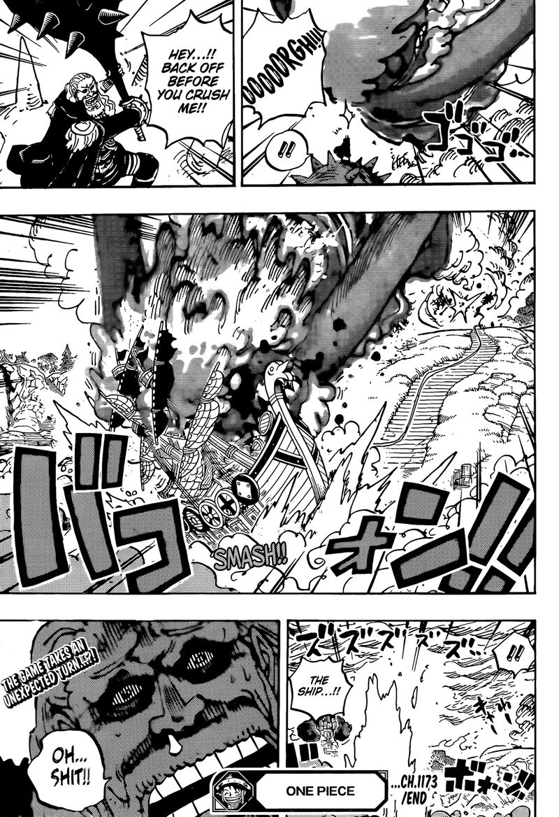 One Piece Chapter 1173 — page 15