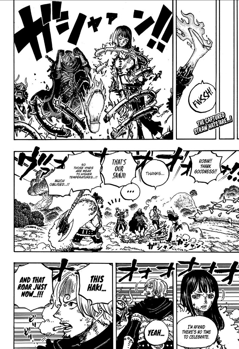 One Piece Chapter 1175 — page 3