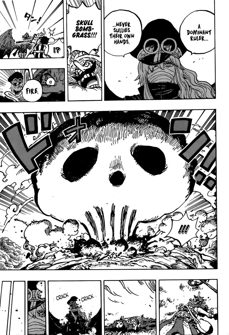 One Piece Chapter 1177 — page 16