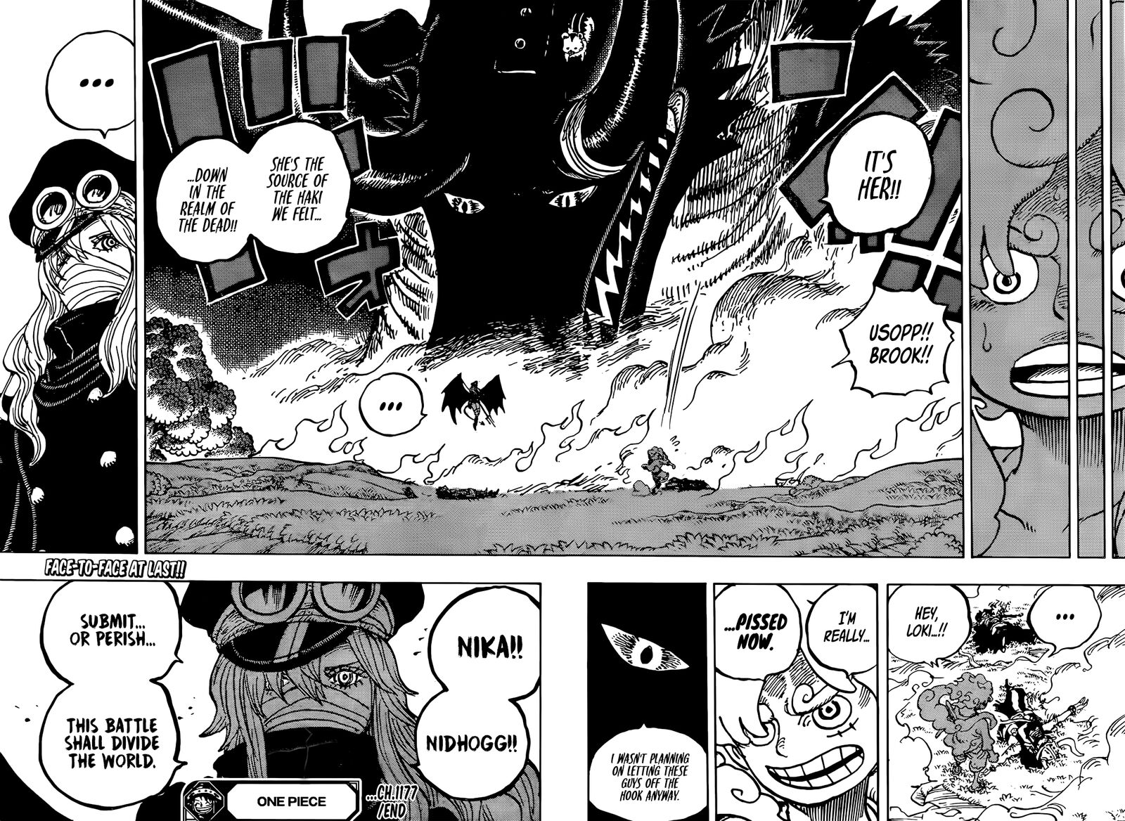 One Piece Chapter 1177 — page 17