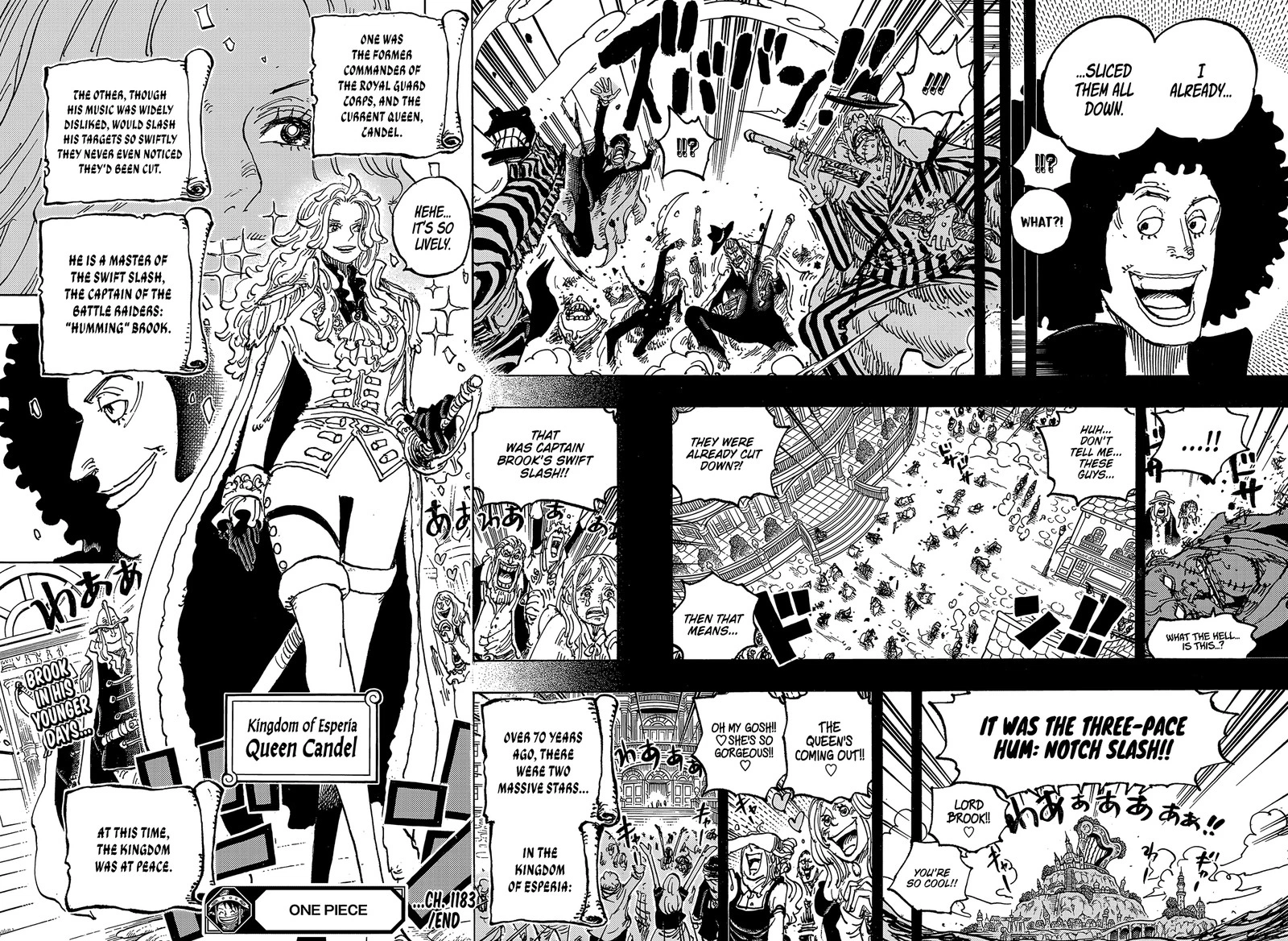 One Piece Chapter 1183 — page 15