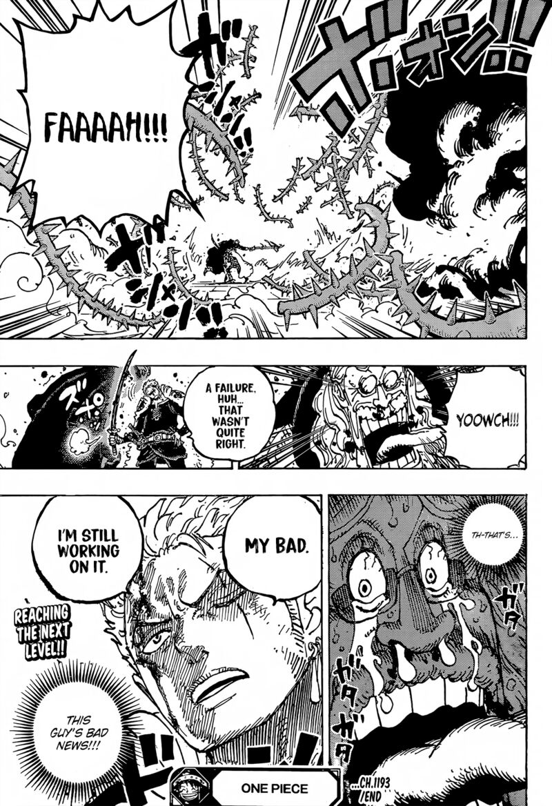 One Piece Chapter 1193 — page 17