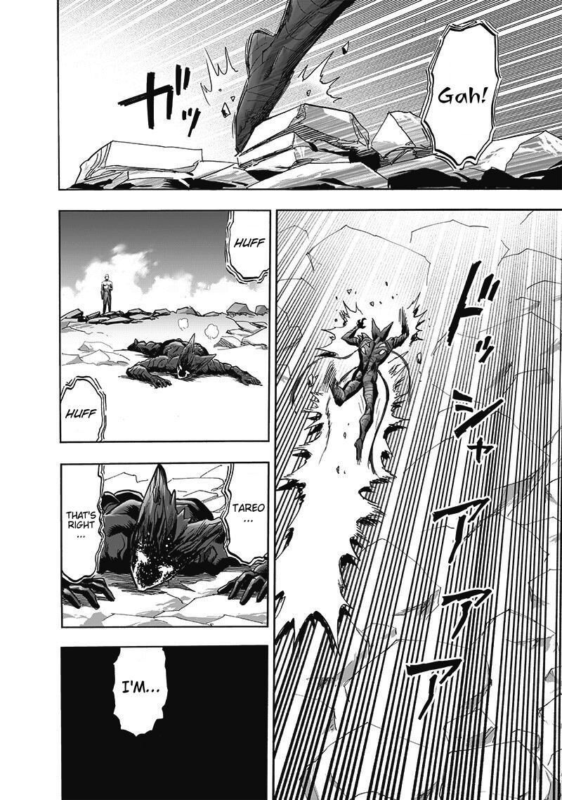 Onepunch-Man Chapter 168 — page 41