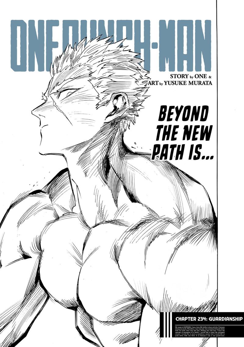 Onepunch-Man Chapter 234 — page 1