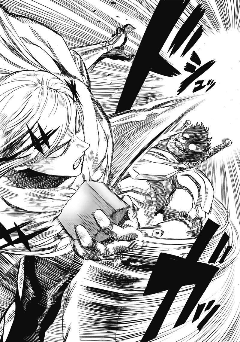 Onepunch-Man Chapter 200e — page 14