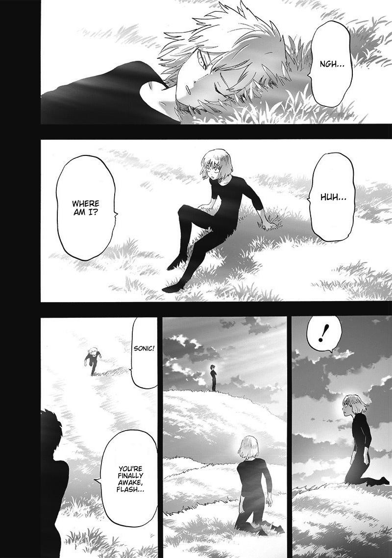 Onepunch-Man Chapter 200e — page 18