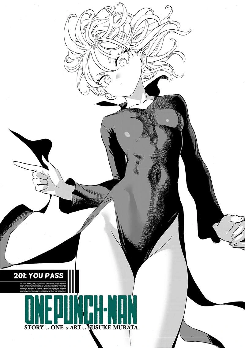Onepunch-Man Chapter 201e — page 1
