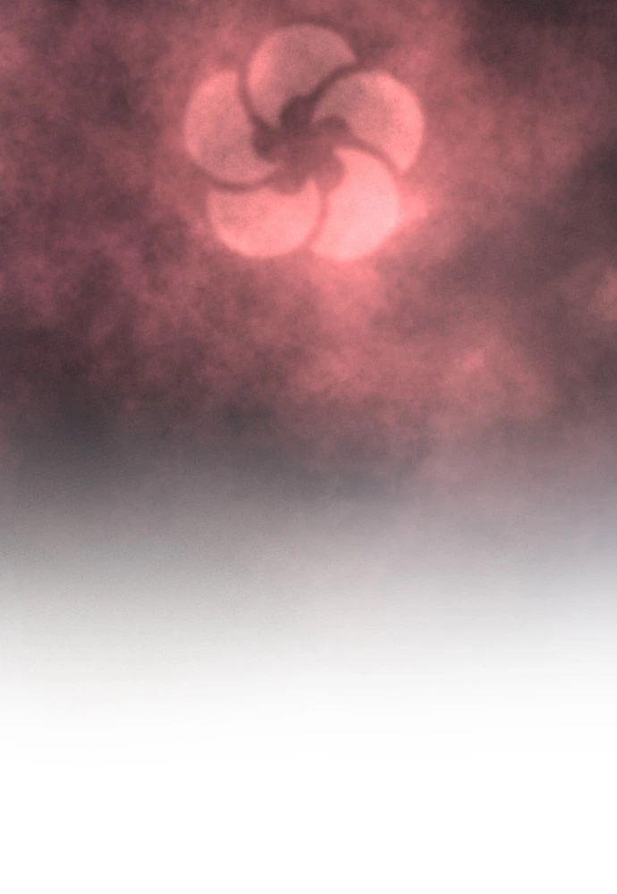 Return of the Blossoming Blade Chapter 2 — page 7