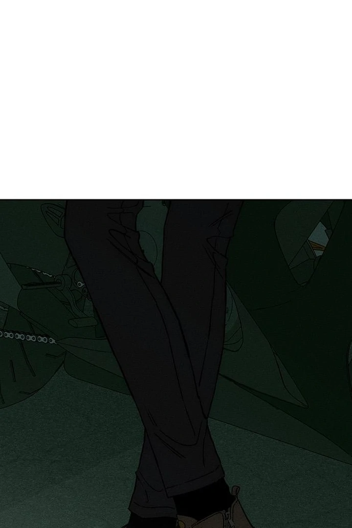 Tears on a Withered Flower Chapter 70 — page 100