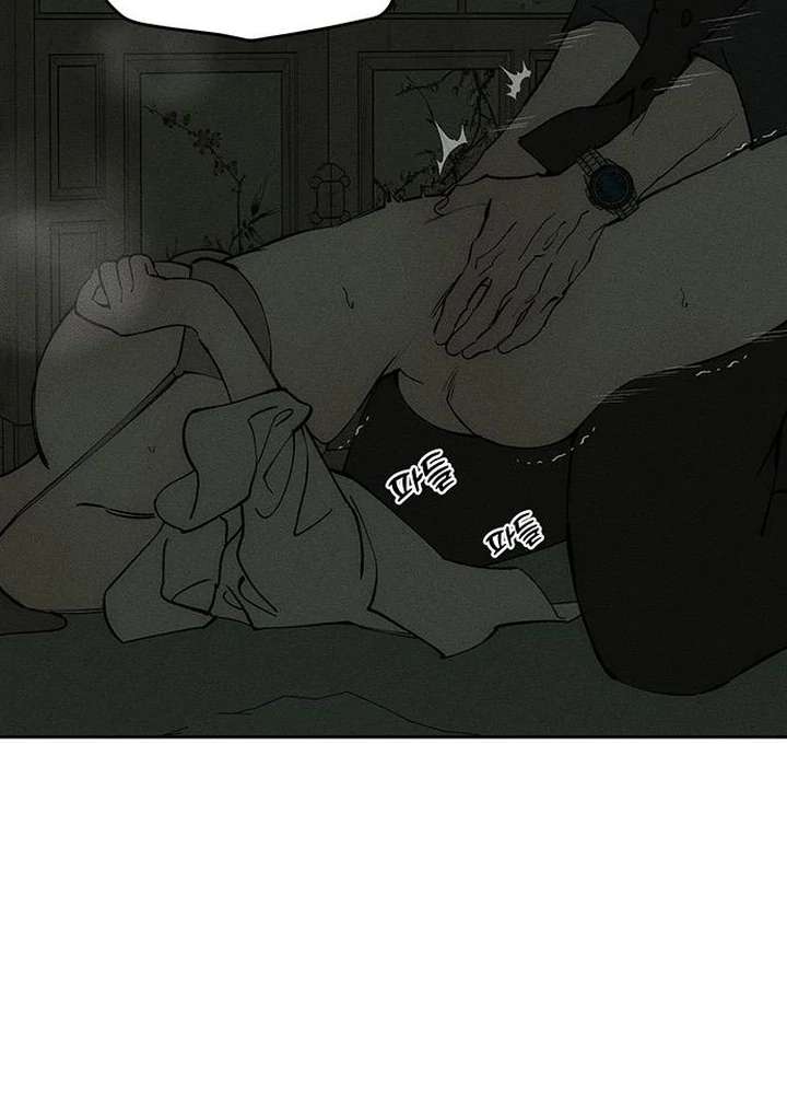 Tears on a Withered Flower Chapter 79 — page 28