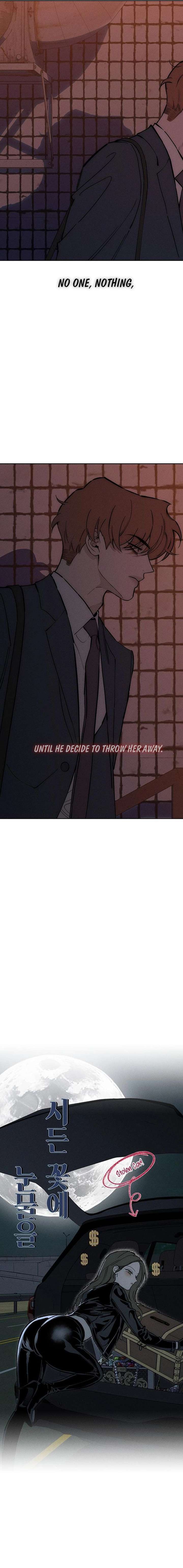 Tears on a Withered Flower Chapter 96 — page 9