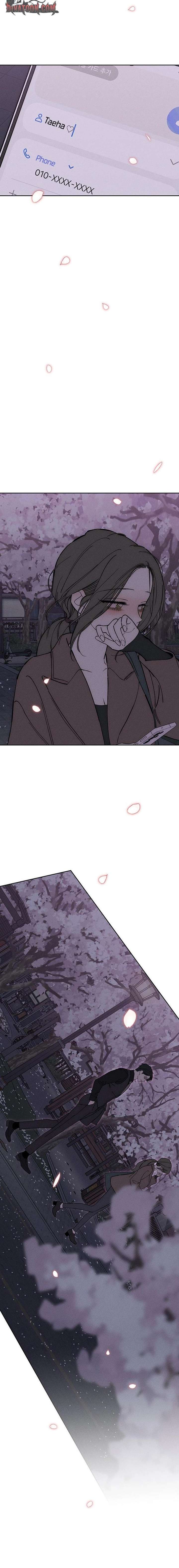 Tears on a Withered Flower Chapter 96 — page 16