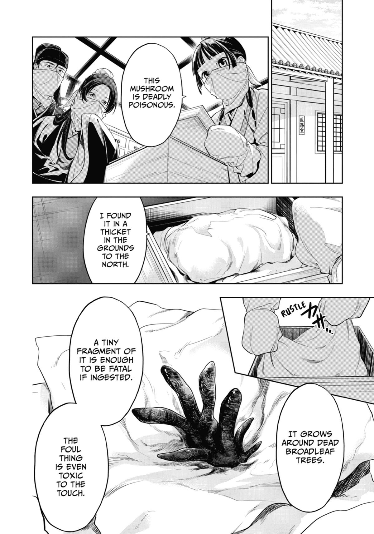 The Apothecary Diaries Chapter 45 — page 3