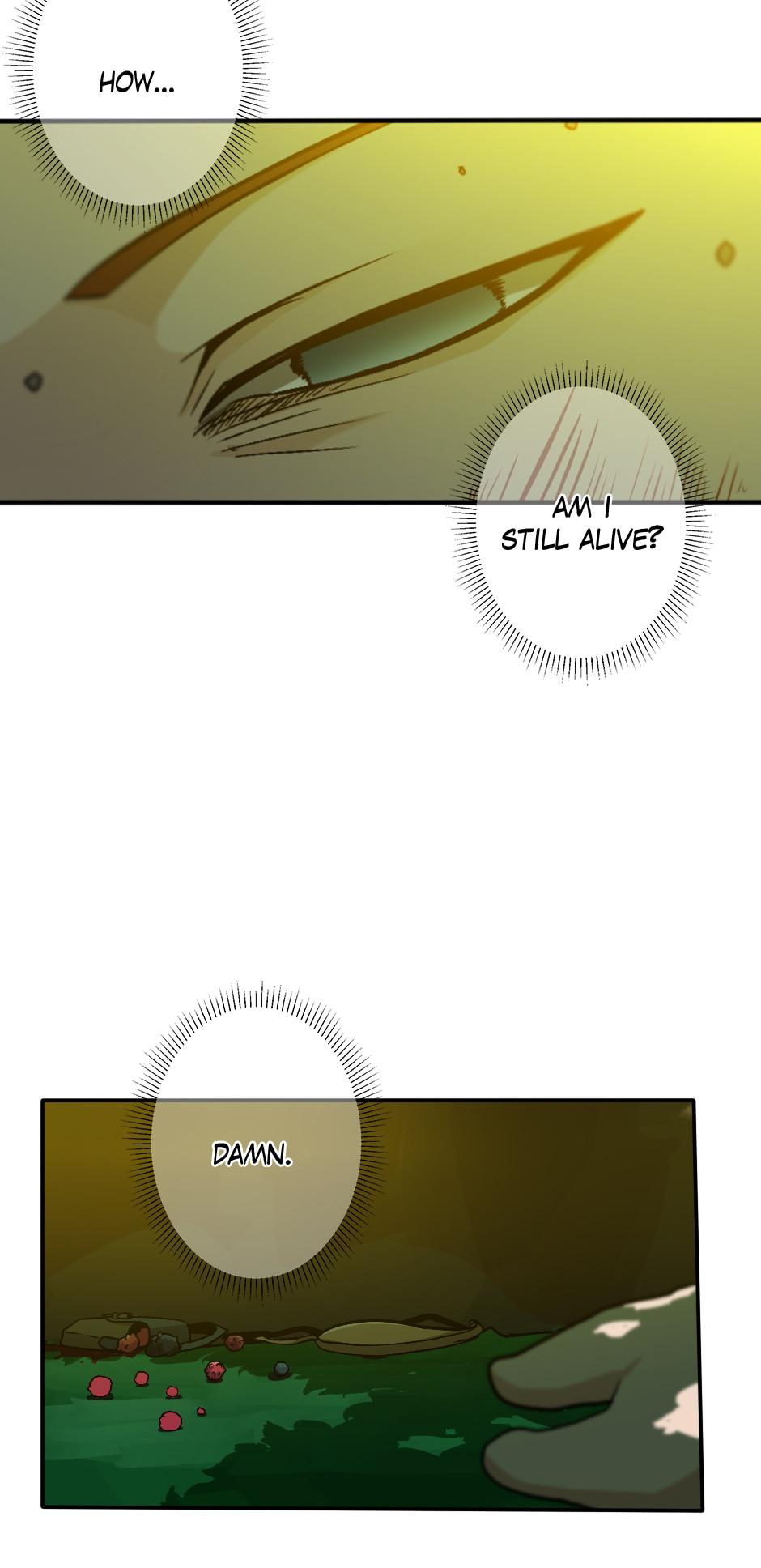 The Beginning After the End Chapter 11 — page 29